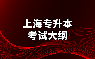 2025年上海立達(dá)學(xué)院專(zhuān)升本表演專(zhuān)業(yè)考試大綱